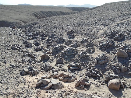 Mitigación Ambiental